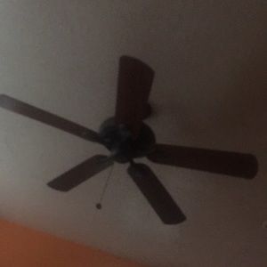 Meet your Posher, Esther